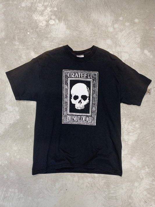 00s Grateful Dead Parody